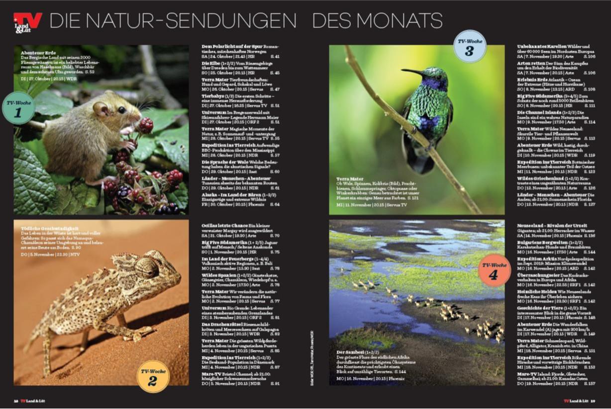 Magazin | TV Land & Lüt | Inhaltsseiten <h2>Übersichtlich und kompakt</h2>
<p> </p>
<p>Die Übersichtsseiten für die spannendsten Natursendungen und dem schönsten Romantik-Programm helfen bei der Auswahl und fassen die sehenswertesten Sendungen kompakt auf einer Doppelseite zusammen.</p>